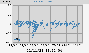 Wind Vector